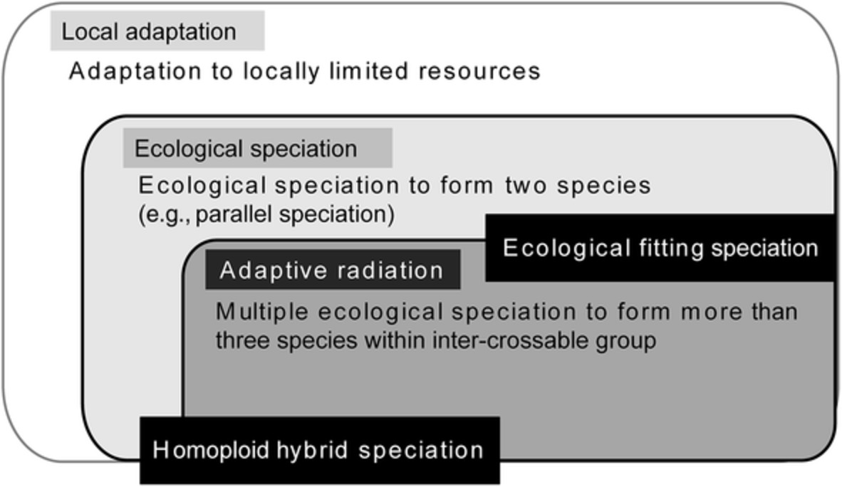 The speciation view: Disentangling multiple causes of adaptive and nonadaptive radiation in terms of speciation